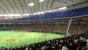 「野球山岡無料写真」の画像検索結果